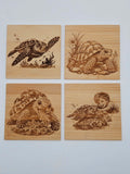 🐢 5-teiliges Bambus-Untersetzer-Set Schildkröten